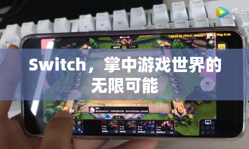 Switch，掌中游戲世界的無限可能
