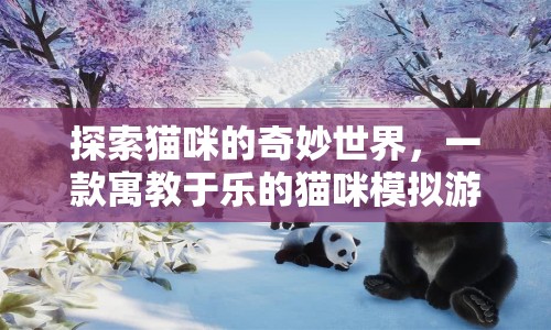 探索貓咪奇妙世界，寓教于樂貓咪模擬游戲