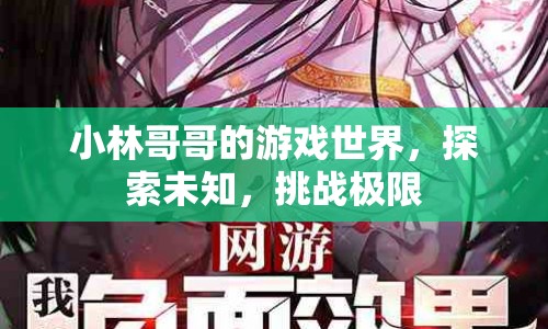 小林哥哥的游戲世界，探索未知，挑戰(zhàn)極限