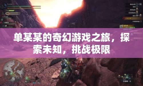 單某某的奇幻游戲之旅，探索未知，挑戰(zhàn)極限