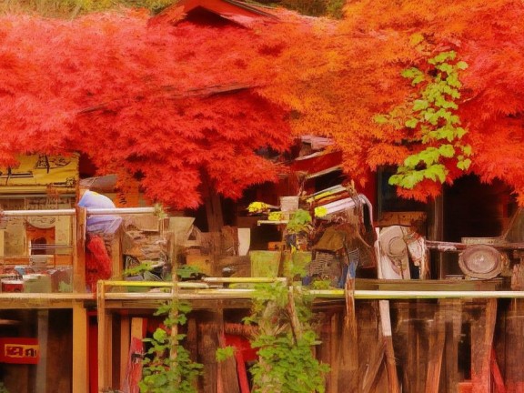 我的世界，最后戰(zhàn)線登錄指南與探索之旅全解析