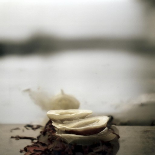 波谷人休藝術(shù)：如何重塑生活美學(xué)？你的心靈需要它嗎？