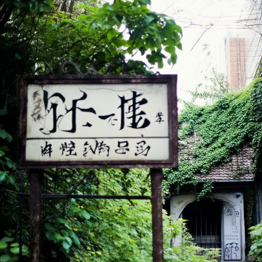 林心如工作室地址曝光，你猜她在哪里？附近有什么秘密？