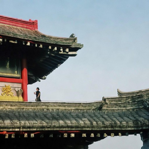 林心如的愛欲秘密：她為何選擇他？背后隱藏了什么真相？